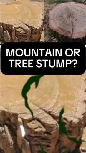 Why Do Mountains Look Like Giant Tree Stumps?
