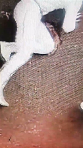 The Speed Force six? The Flash 🔥