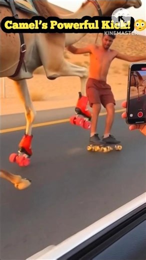 Epic Funny & Camel Video 😃💯😂🔥||#short #funny #fyp #explore #camel #animals