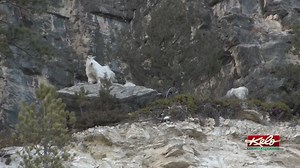 What's the difference between an equinox and an equiliux?