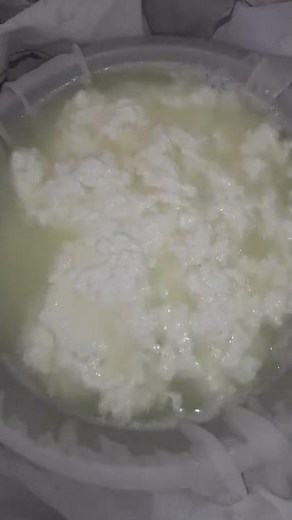 making a batch of fresh panner, yummy and delicious 😋 #cook #foodchannel #food