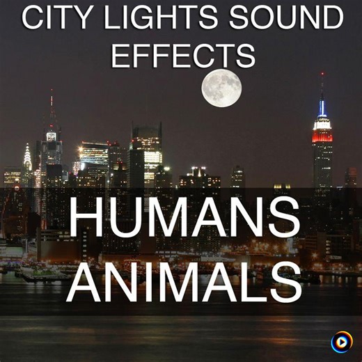 Clock Grandfather Tune 1%25012 Hour Sound Effects Sound Effect Sounds EFX SFX FX Household Household Wood by City Lights Sound Effects