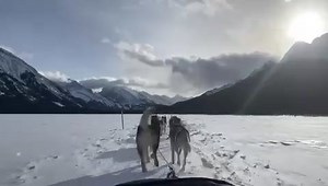 1.6K views · 137 reactions | The Goat Creek trail is officially open!...