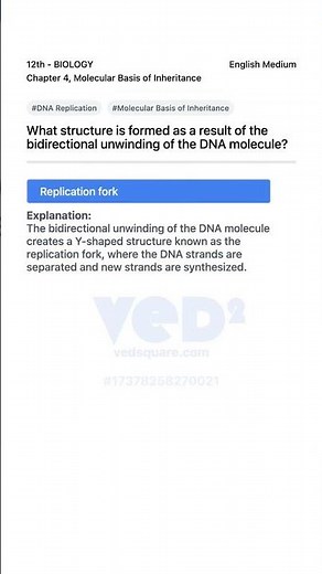 DNA Replication Fork Explained 12th Biology Molecular Basis of Inheritance