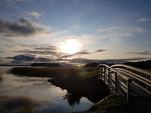 Kaarisilta Aale Tynni