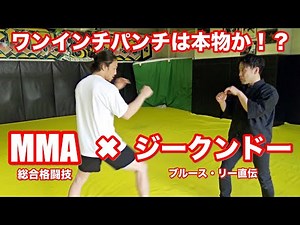 MMA Fighter meets Jeet Kune Do master. Is One inch punch real?