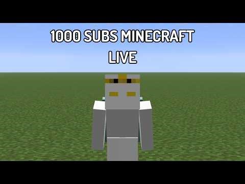 Minecraft Shard SMP Ban Speedrun