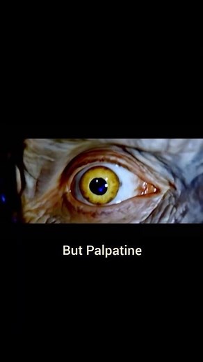 What Palpatine REALLY Saw Before He Died (Part 2) 💀 #starwars #shorts #holocronvault