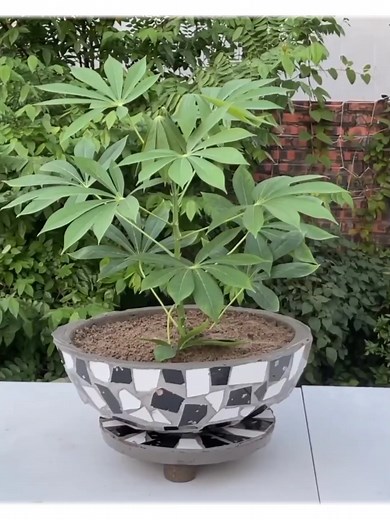 Creative Cement Craft Ideas with Ceramic Tiles