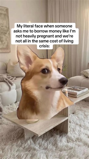 The Struggles of Pregnancy: Funny Reactions and Relatable Moments