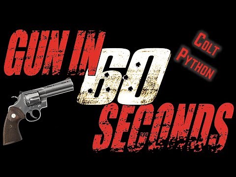 A Gun in 60 Seconds Colt Python SS 4in