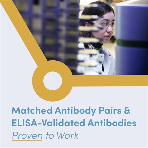 The way antibody pair-based assay development should be: FAST 📦 285 ready-to-ship matched antibody pairs and 435 ELISA-validated antibodies FLEXIBLE 🔬 Carrier-free, conjugation-ready formats RELIABLE ✅ Lot-to-lot consistency for assay-to-assay reproducibility Explore proven solutions from CST: https://hubs.ly/Q03nk7VW0 | Cell Signaling Technology, Inc.