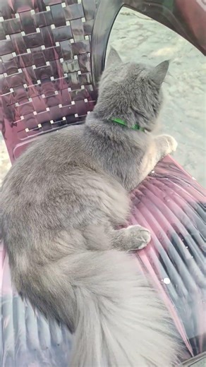 #c#subscribe at #foodlike