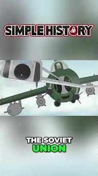 Why did the US destroy its own F 14 Tomcats