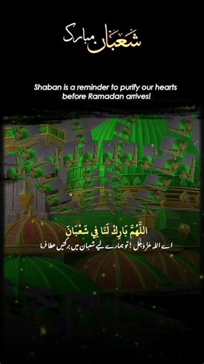 Exploring the Beauty of Islamic Art