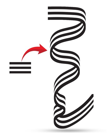 Tai IT- Sahring #illustration #illustrator #AdobeIllustrator | Tai IT- Sahring