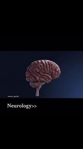 Understanding Neurology: The Role of a Neurologist