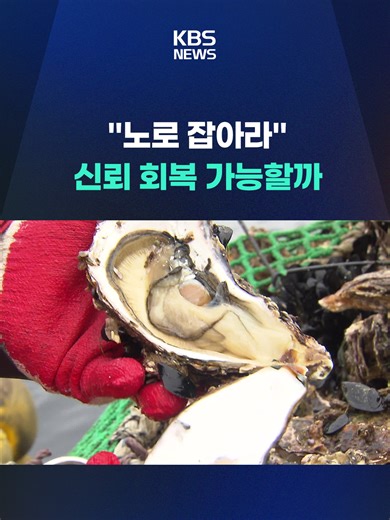 경남 수산업계가 대미 굴 수출을 위한 위생 관리에 나섰습니다. #노로 #굴 #수출 #경남 #대미수출 #KBS #KBSNEWS