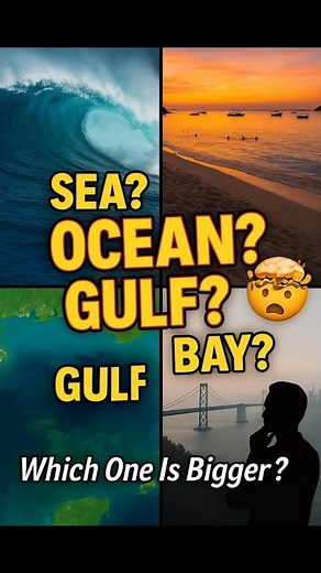 Bay, Gulf, Sea, Ocean: What's the Difference?v#ocean #gulf #sea #difference #geography #school