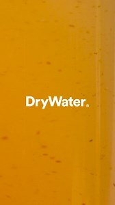 Healthy, delicious electrolytes and vitamins — perfected from real fruit, with 0% added sugar and a balanced, not-too-salty taste. ✅ 6 Key Electrolytes and Minerals ✅ 5 Essential Vitamins ✅ 1 Vital Amino Acid ✅ 5 Real Delicious Fruits ✅ 25 Clean and tested ingredients ✅ Natural Antioxidants ✅ Made with organic coconut water. | DryWater