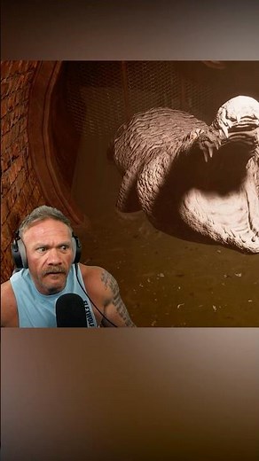 Ghosts & Gators | CROCOCO #horror