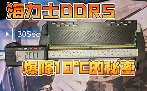 【装机30秒】三十秒教你给D5海力士小绿条上散热马甲（PC Maintainer 双面马甲+莱尔德HD90000=97r）