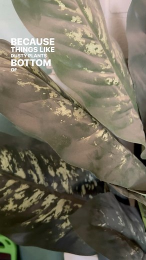 What’s low on your cleaning priority? Ever thought about when it *might* actually be done? 🤔😅 #cleaningmotivation #cleaning #dampduster #scrubdaddy #dusting #housekeeper #housekeeping #fyp #clean #sahm #mentalhealth #motivation #reallife #truth | Takes a Village Cleaning