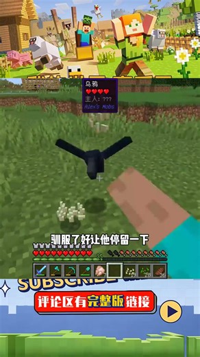 探索之旅（19）：制作小雞繁殖基地，為蟒蛇提供食物來源 #我的世界 #MC #我的世界烧鸡 #Minecraft #MOD