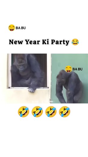 BA BU on Instagram: "New Year Ki Party 😂 #funnyanimals #funny #funnydubbing #facebook #instagram"
