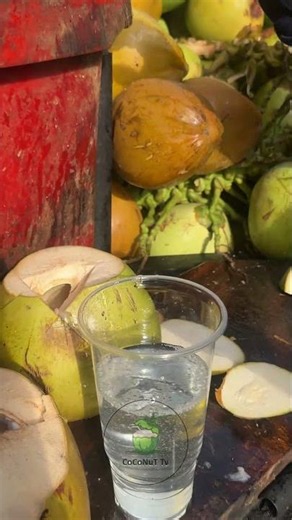 Master Coconut Cutting Skill