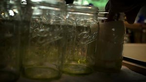 113K views · 509 reactions | Life in rural Alaska is fragile. For humans to survive, they have to rely on ingenuity. Canning fish is one way to keep a steady food supply for the winter. #PortProtection | National Geographic TV | Facebook