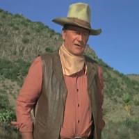 John Wayne Movie Quotes