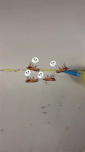 Effective Cockroach Control for Every Household