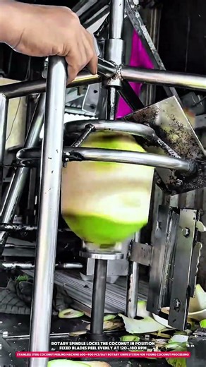 stainless steel coconut peeling machine 600–900 pcs/day rotary knife system