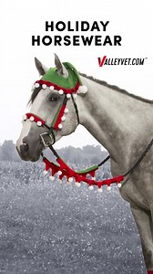 Valley Vet Supply on Reels