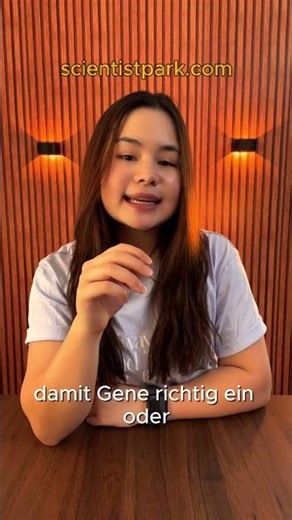 Neues KI-Werkzeug enthüllt 3D-Struktur von Chromosomen in einzelnen Zellen