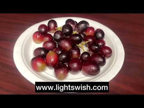 Fruit and Vegetable Washing Machine- Honest Review