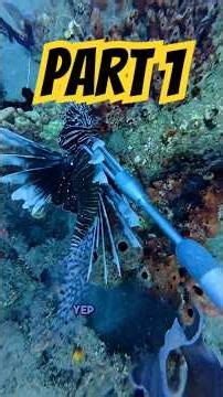 Part one of the greatly unedited 20 minute, Lion slaughter Dive in Dominica, the nature Island!