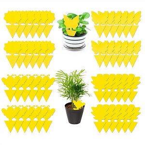 Samerd Sticky Fungus Gnat and Fruit Fly Traps, Non-Toxic, 48 Count