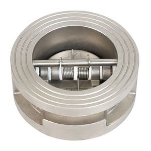 [Hot Item] Cast Iron Body Dual Plate Check Valve with NBR Seat