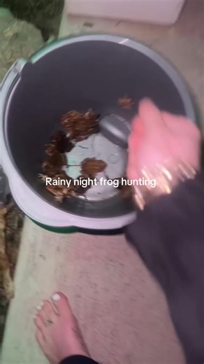 hope you enjoy this as much as I did😊#frogs #nature #fyp | frog