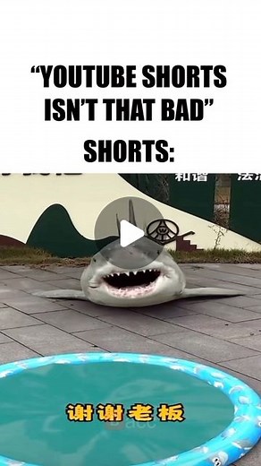 kraccbacc on Instagram: "shorts moment 😂 #shorts #shortsfeed #funny #funnymeme #funnymemes #funnyshorts #kraccbacc #goofy #memes #goofyahh #meme #fyp #foryou #foryoupage #youtubeshorts #monday #mondayleftmebroken #cat #catmeme #aviciicat #avicii"