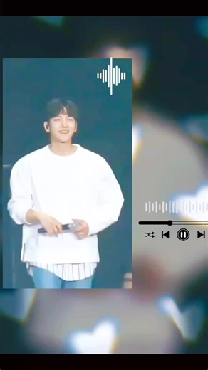 Ji Chang Wook Insomnia Song: Lyrics, Translation, and CapCut Video