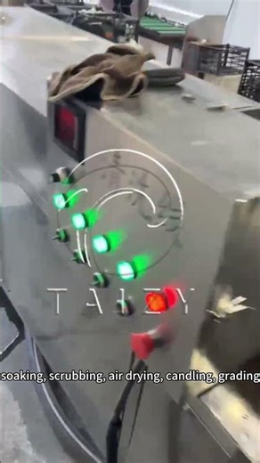 Poultry Duck Goose Eggs Washing Grading Machine | Egg Cleaning Line