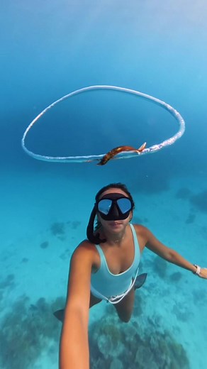Record-Breaking Underwater Breath Holding Challenges