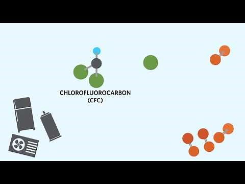 Ozone: The Good, the Bad, and the CFCs | California Academy of Sciences