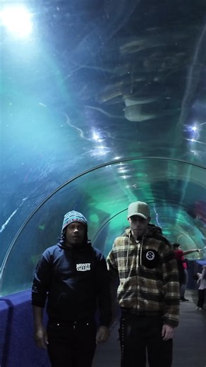 Exploring Aquaric Wonders with a Friend