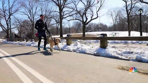 Blind runner and guide dog team up for half-marathon