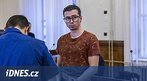 Za vyhození potkana z okna bodl kamaráda šroubovákem, viní muže z pokusu o vraždu - iDNES.cz