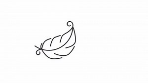 Animated Feather Line Icon Lightweight Animation Stock Footage Video (100% Royalty-free) 3886932839 | Shutterstock